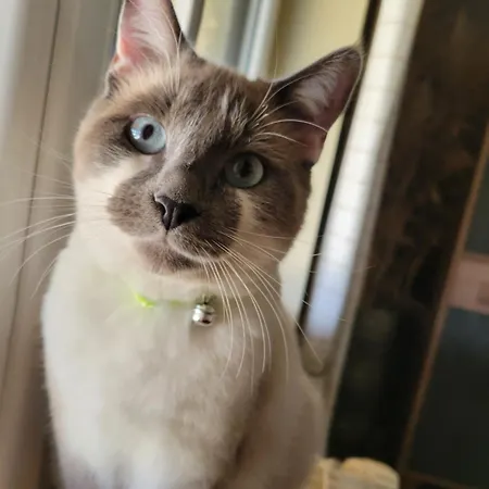 فندق مبيت وإفطار Le Petit Bonheur Sergeac